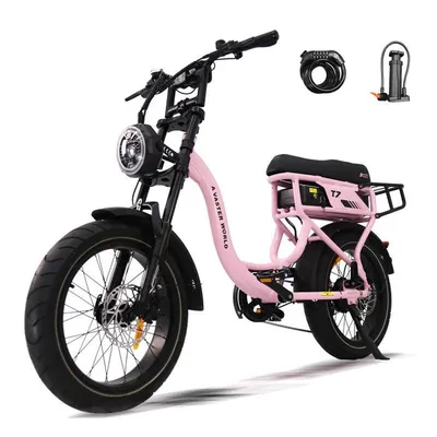 AVDLEU - Vélo Électrique 20"*4 - Moteur 250W - Batterie 48V 18.2Ah - 70 à 140km (Mode ASSIST) - 7 vitesses SHIMANO