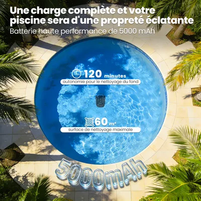 Robot Piscine Sans Fil AIRROBO CP02, Nettoyage Fond 3000LPH, Autonomie 120 mins, Filtre 250μm, Pour Piscines Hors-Sol Eau ≤3m, Noir