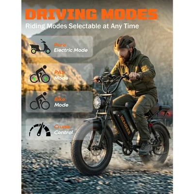 Vélo Électrique 20" Fat Bike Headeer BK20 48V 20Ah, 50 km/h, Autonomie 80 km, Suspension Avant/Arrière, Freins à Disque, Adulte