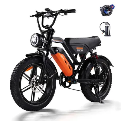 AVDLEU Vélo Électrique Tout Terrain - Roues 20"*4 - 250W - Batterie 48V 15.6Ah - Autonomie 60-120km (Mode ASSIST)