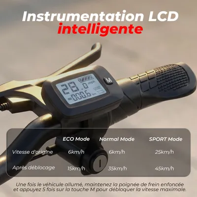 Trottinette Électrique Pliable avec Siège iScooter F3 pour Adulte, Moteur 1000W, Autonomie 60KM, Batterie 13Ah, Pneus 10"